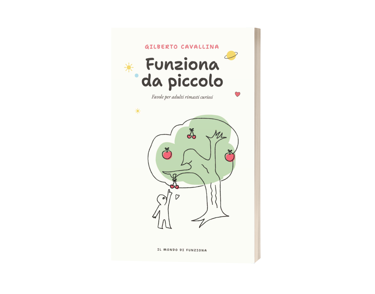 Copertina 3D di Funziona da piccolo