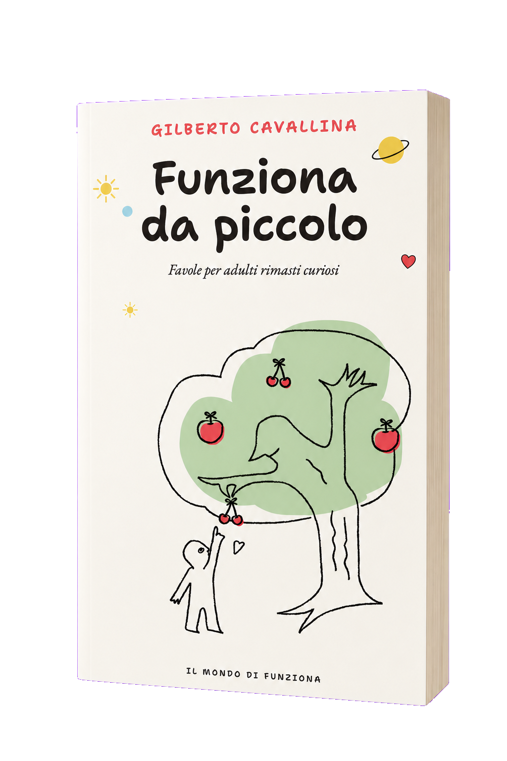Copertina di Funziona da piccolo